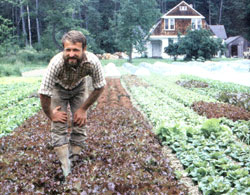 The most striking aspect of David's garden is that a large percentage of it is covered by plastic.